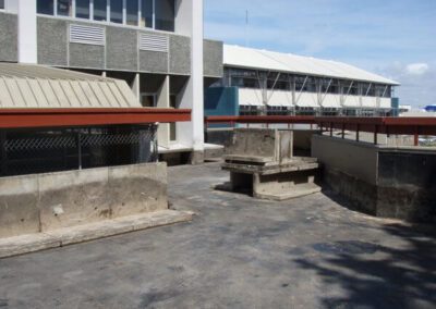 excavation services nz