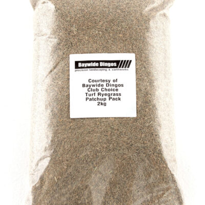 2kg Lawn Seed – Professional Grade Turf Rye Grass